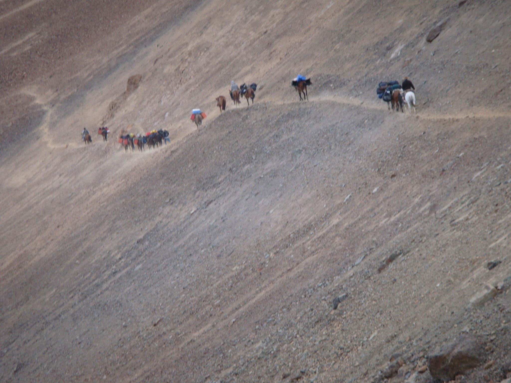 Across the Andes - horseXperiences™ GO EQUESTRIAN