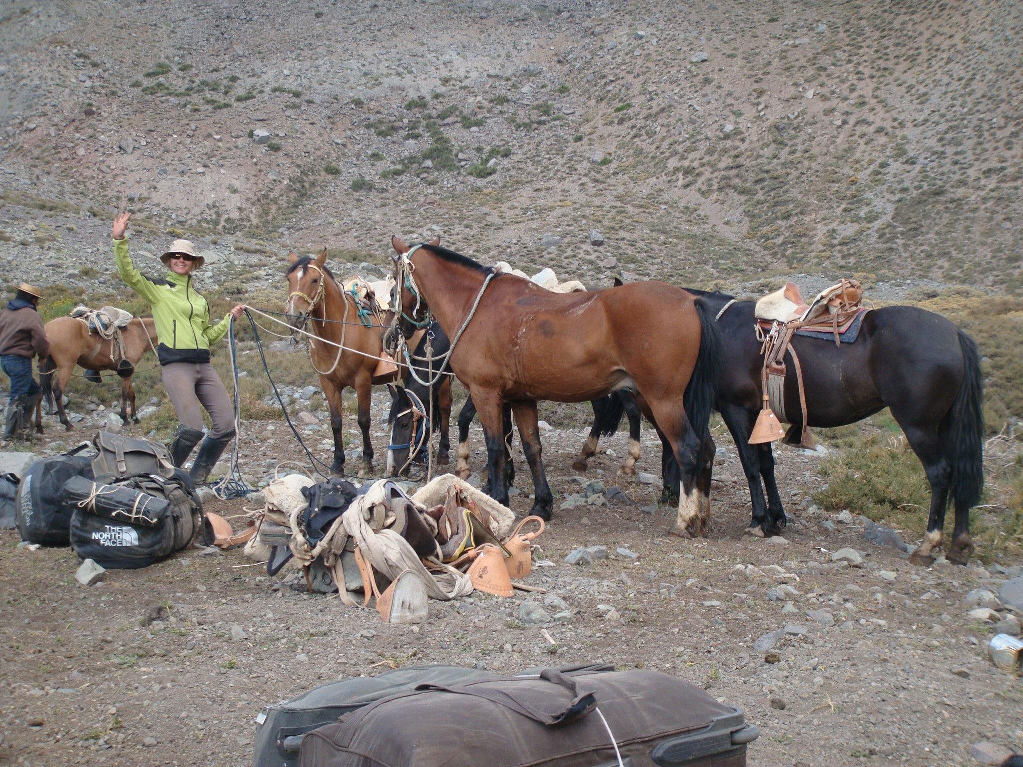 Across the Andes - horseXperiences™ GO EQUESTRIAN
