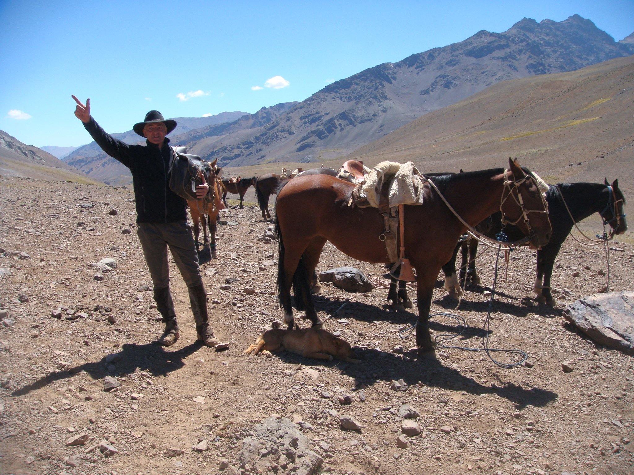 Across the Andes - horseXperiences™ GO EQUESTRIAN