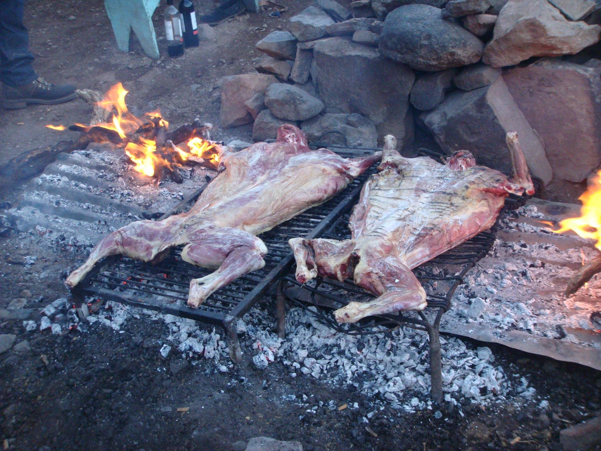 Across the Andes - horseXperiences™ GO EQUESTRIAN