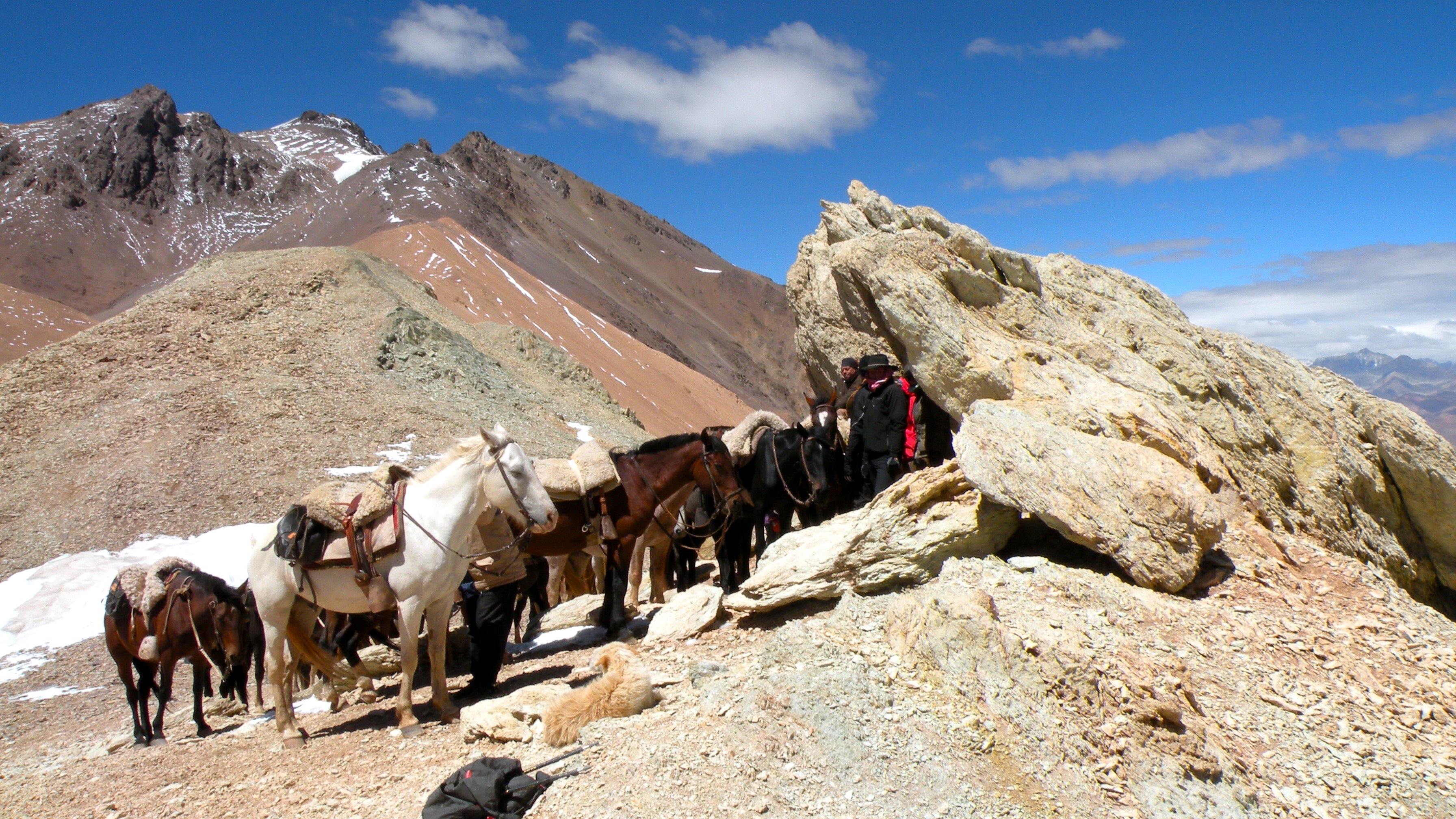 Across the Andes - horseXperiences™ GO EQUESTRIAN