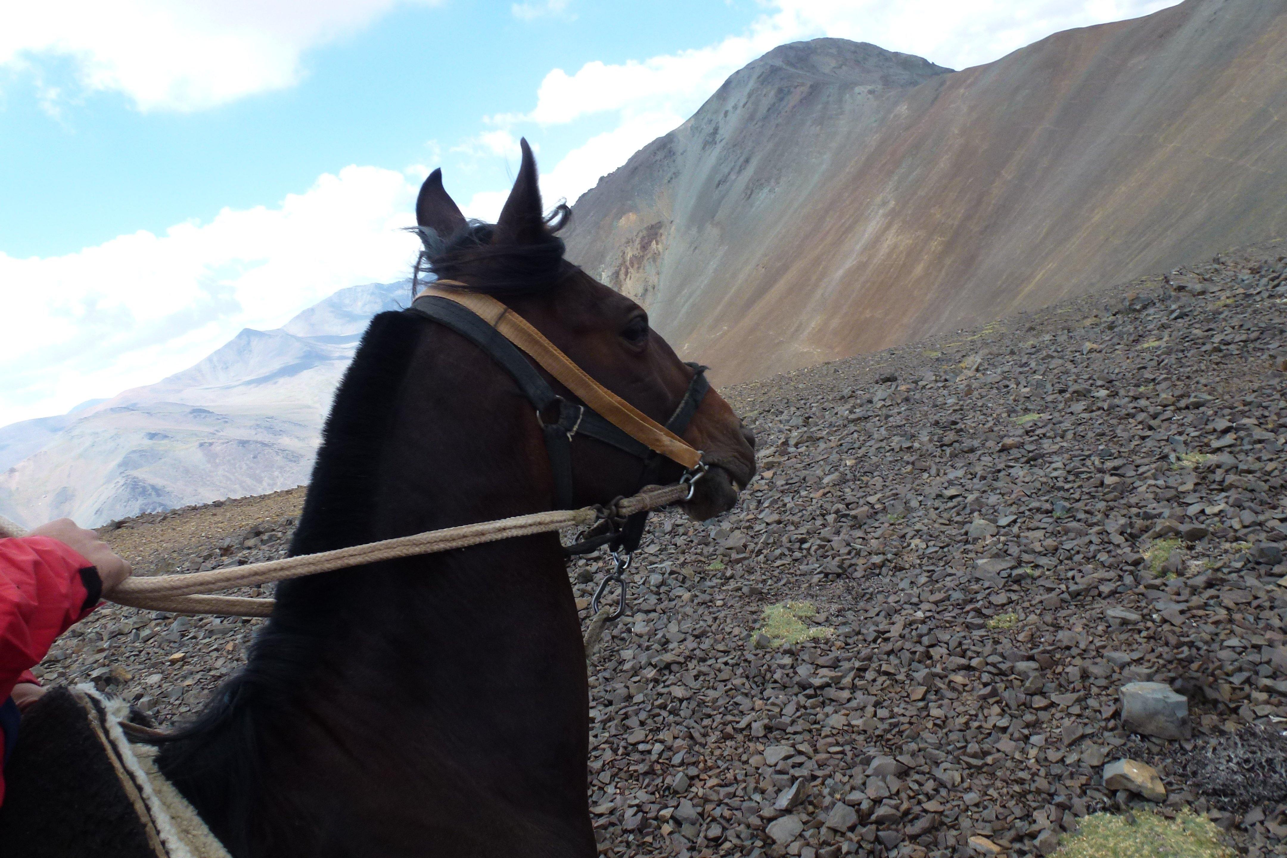 Across the Andes - horseXperiences™ GO EQUESTRIAN