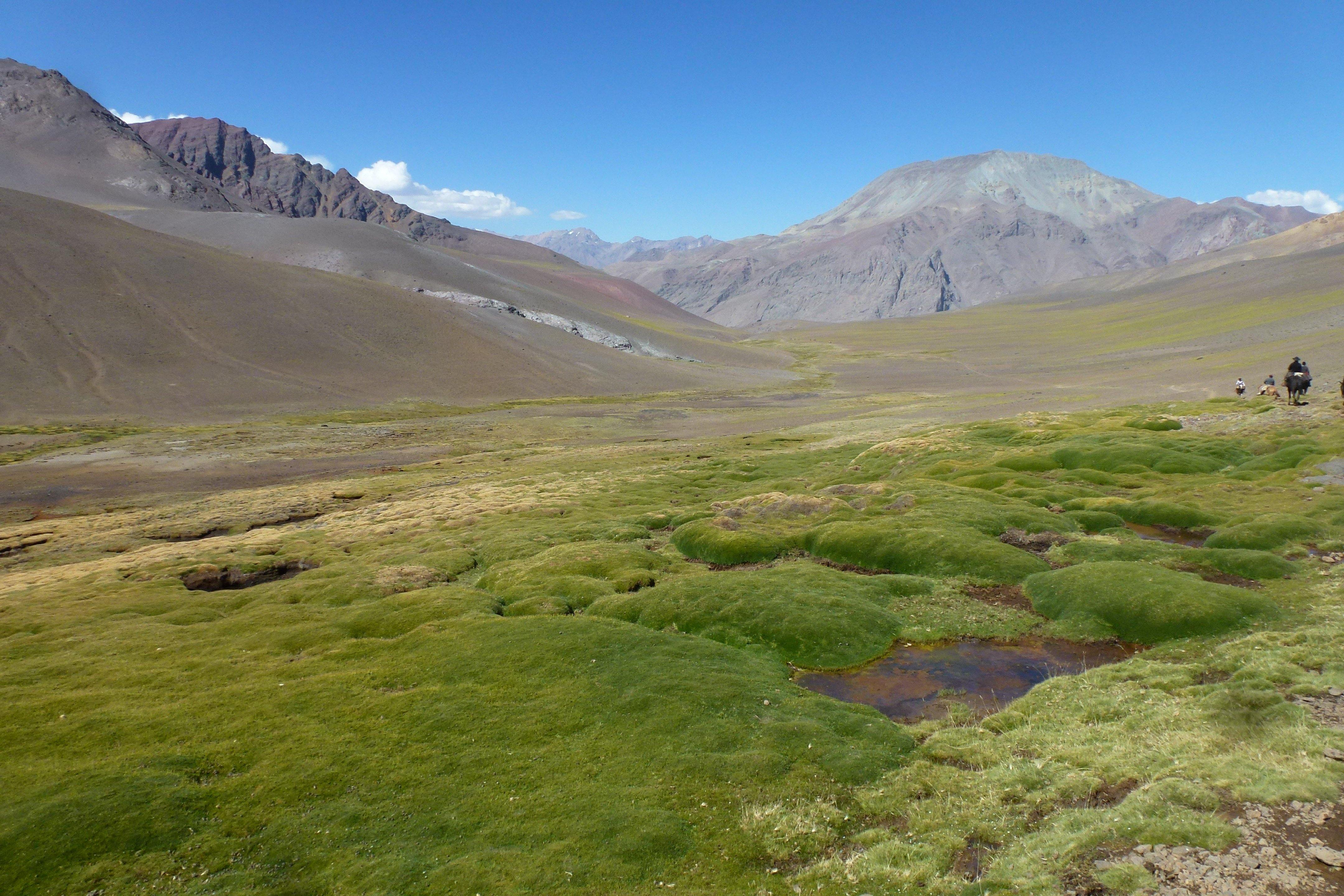 Across the Andes - horseXperiences™ GO EQUESTRIAN