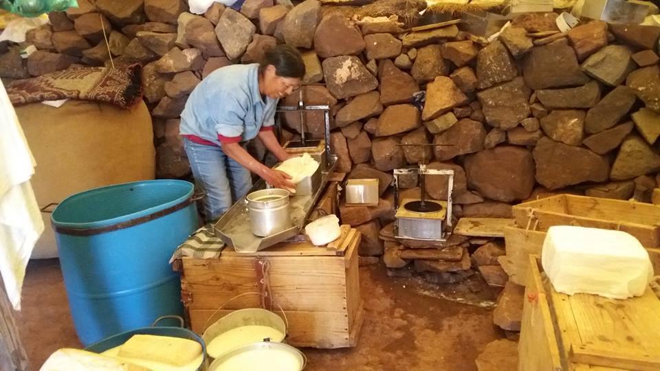 Across the Andes - horseXperiences™ GO EQUESTRIAN