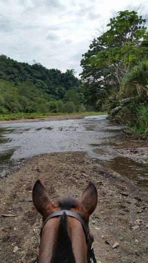 River Turrabilita eXperience - horseXperiences™ GO EQUESTRIAN