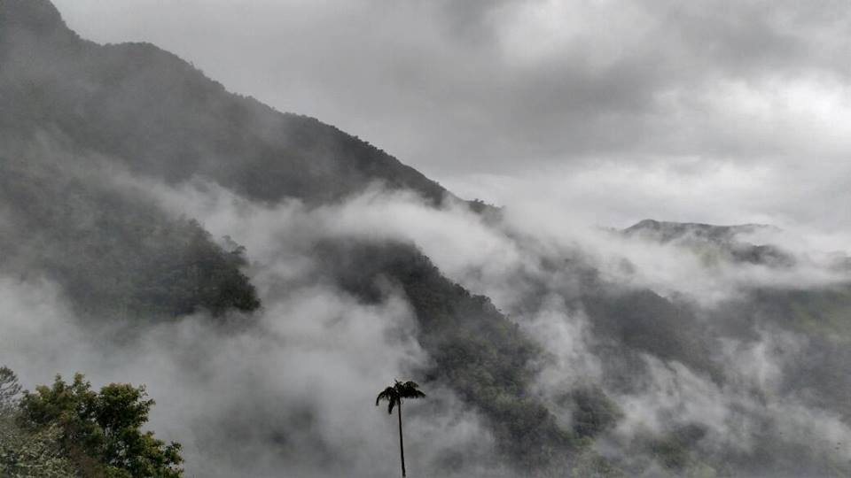 The Coffee Trail Ride - horseXperiences™ GO EQUESTRIAN