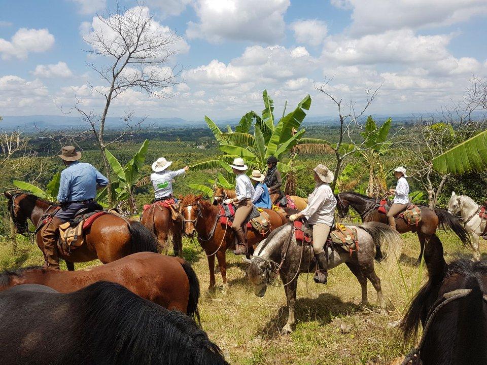 The Coffee Trail Ride - horseXperiences™ GO EQUESTRIAN