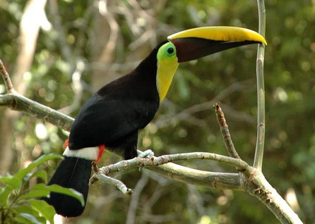 Tropical Discovery - horseXperiences™ GO EQUESTRIAN