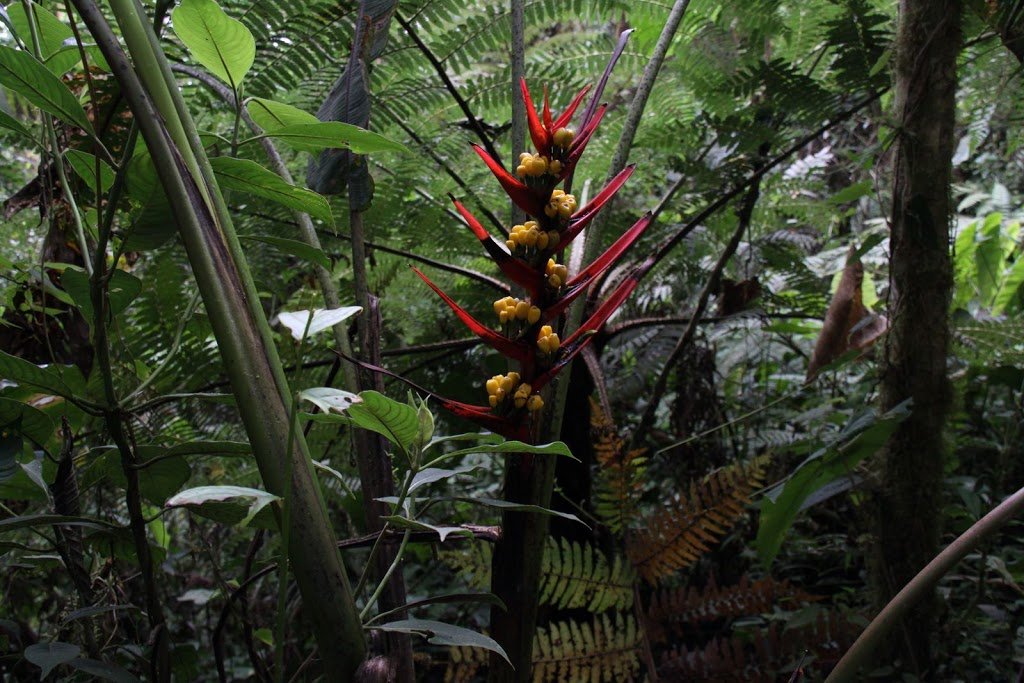 Sacred Valley - horseXperiences™ GO EQUESTRIAN