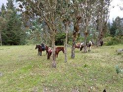 Sacred Valley - horseXperiences™ GO EQUESTRIAN