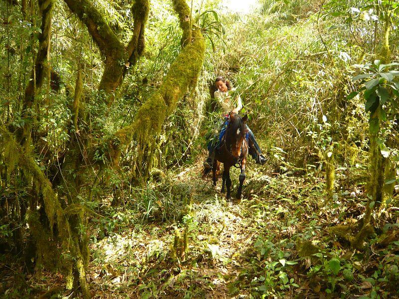 Sacred Valley - horseXperiences™ GO EQUESTRIAN