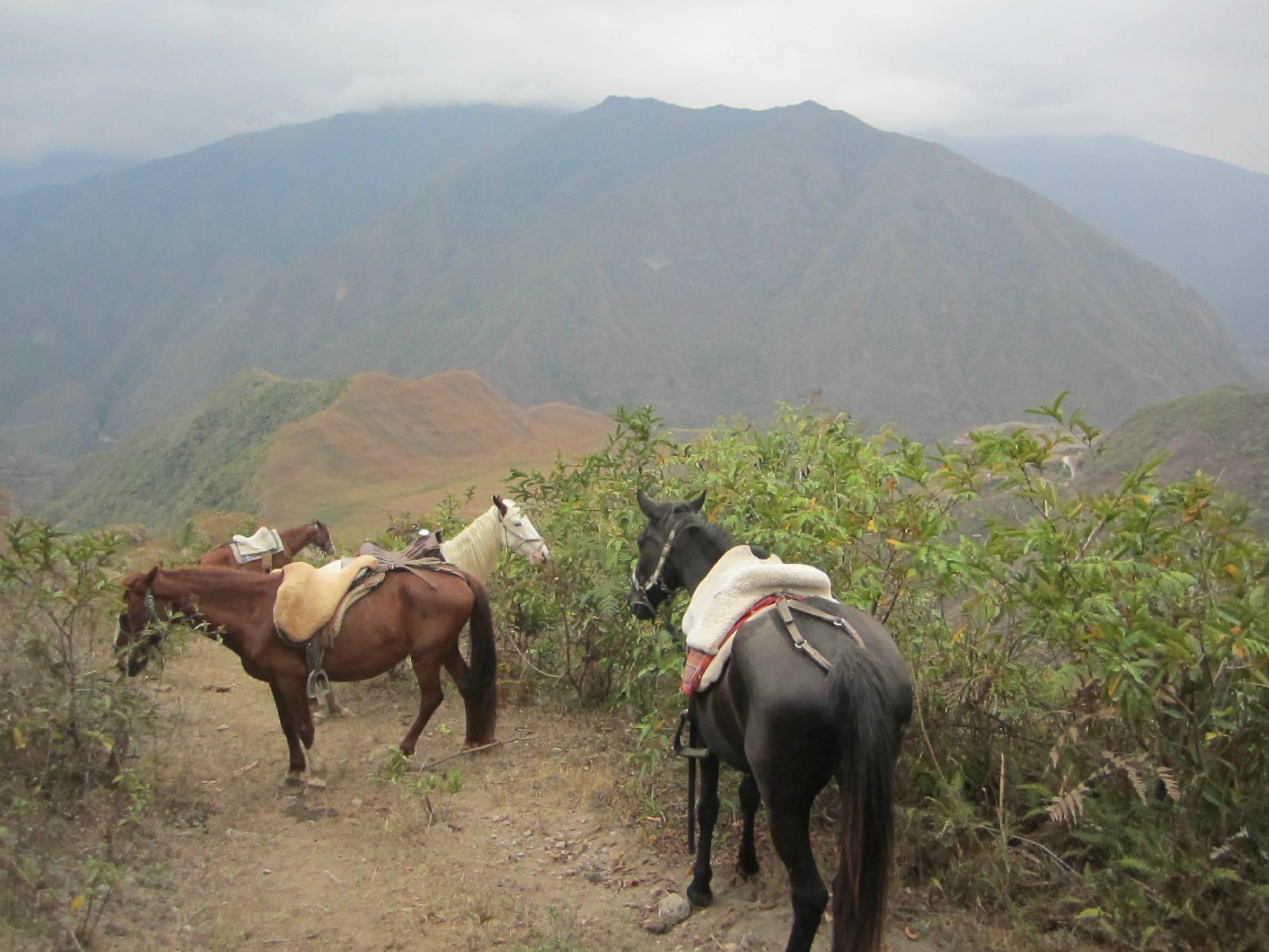 Sacred Valley - horseXperiences™ GO EQUESTRIAN