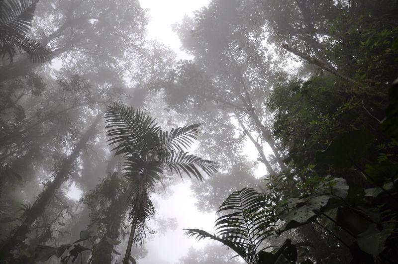 Secrets of the Andes - horseXperiences™ GO EQUESTRIAN