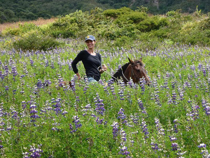 Sacred Valley - horseXperiences™ GO EQUESTRIAN
