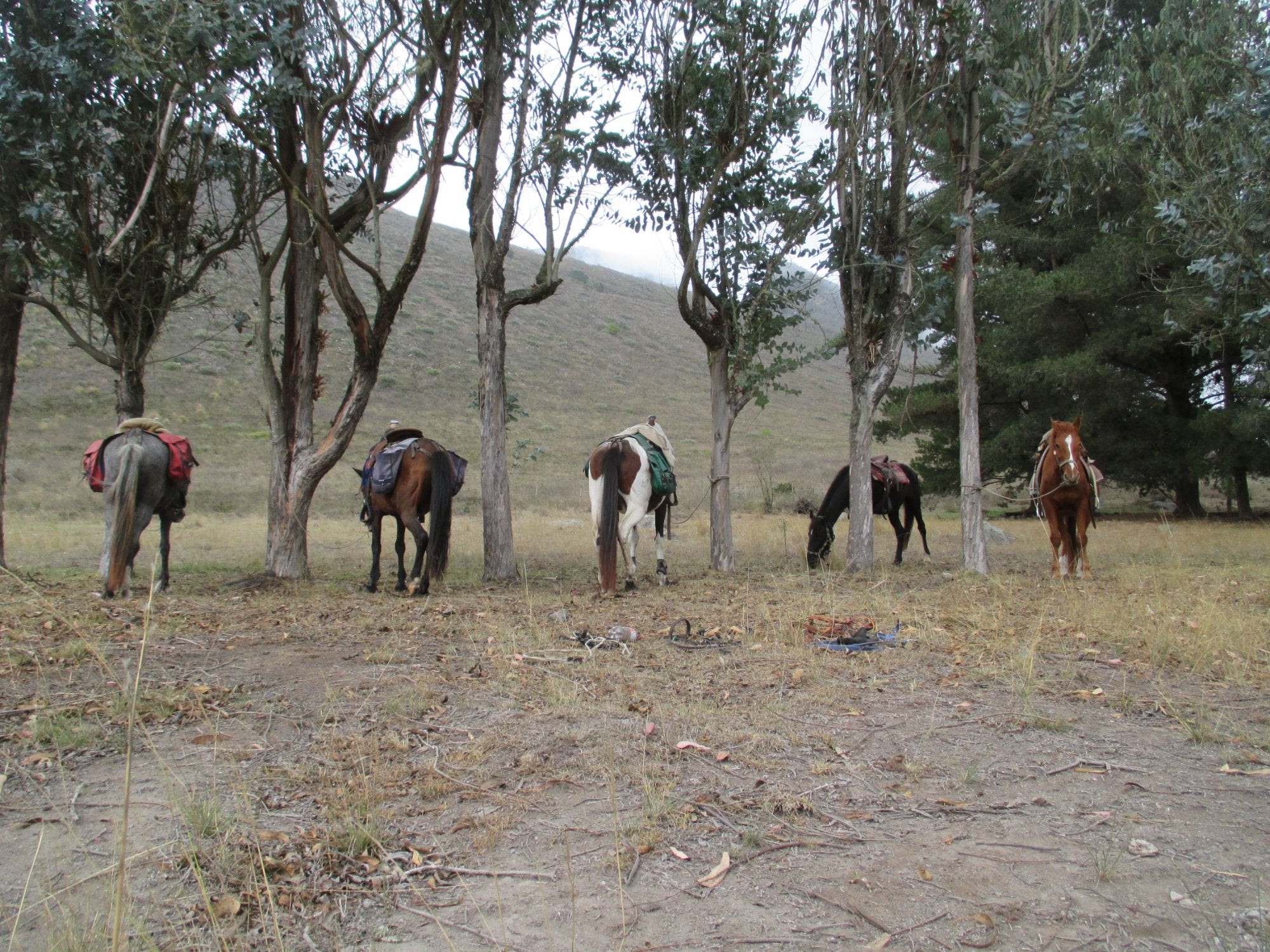 Sacred Valley - horseXperiences™ GO EQUESTRIAN
