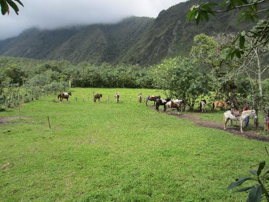 Sacred Valley - horseXperiences™ GO EQUESTRIAN