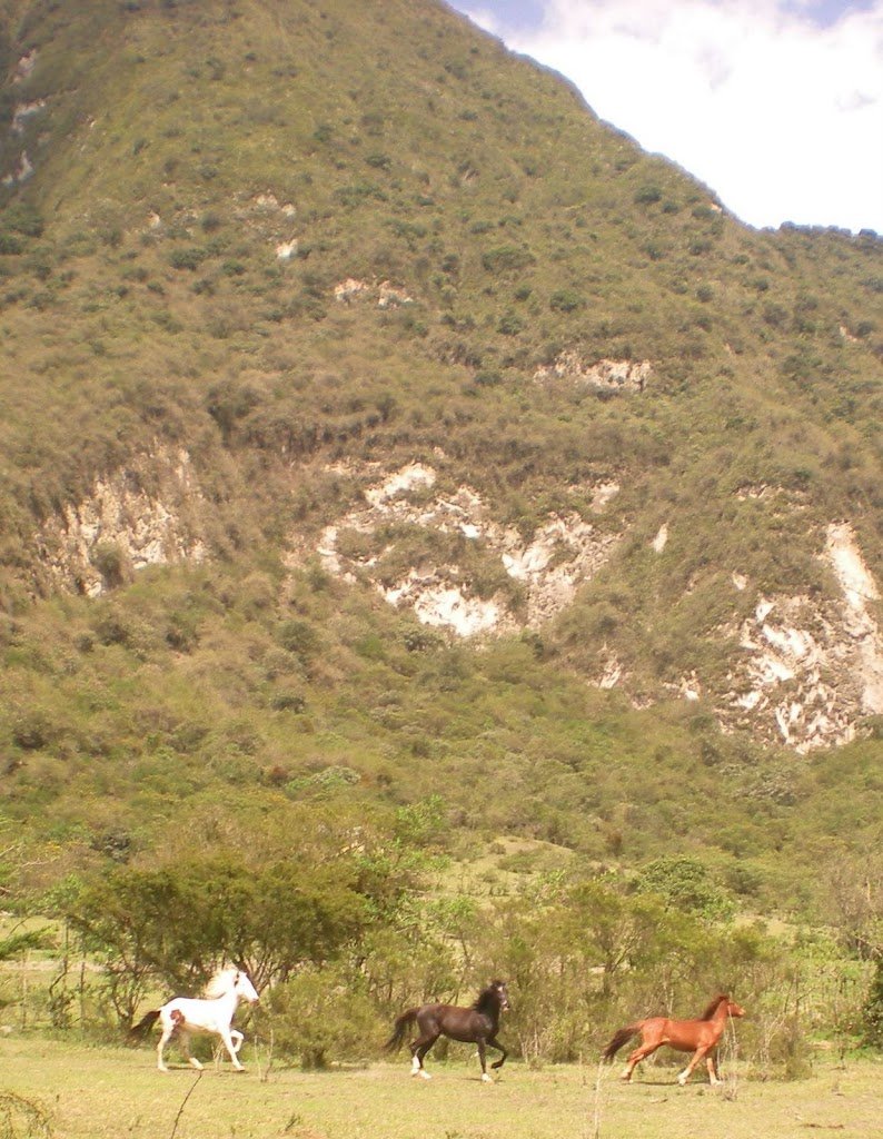 Secrets of the Andes - horseXperiences™ GO EQUESTRIAN