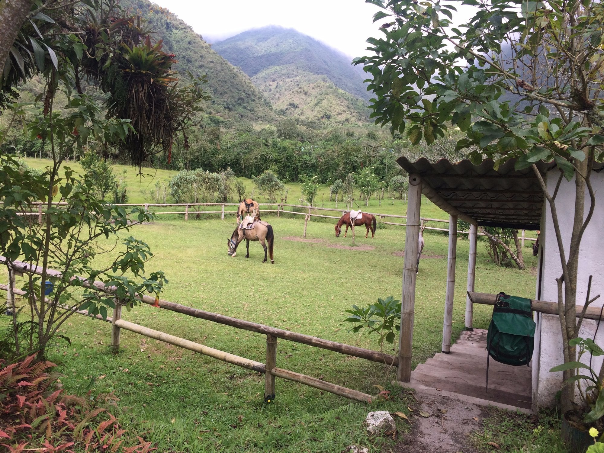Secrets of the Andes - horseXperiences™ GO EQUESTRIAN