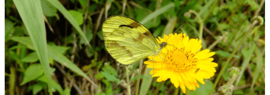 Ride, Hike & eXplore - horseXperiences™ GO EQUESTRIAN