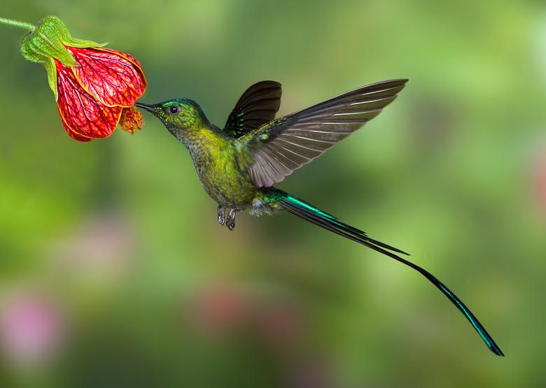 Ride, Hike & eXplore - horseXperiences™ GO EQUESTRIAN