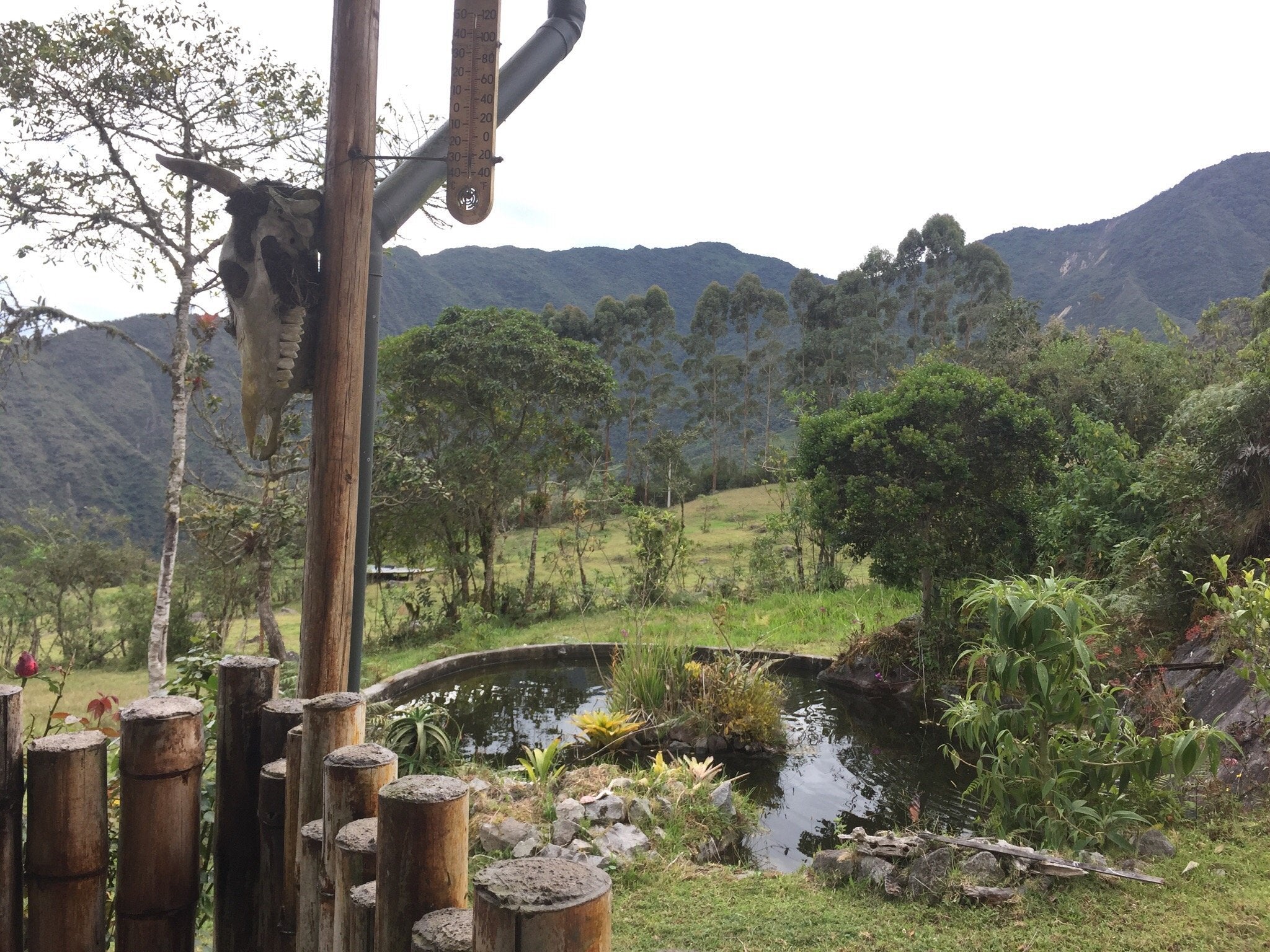 Ride, Hike & eXplore - horseXperiences™ GO EQUESTRIAN