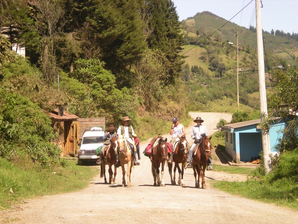 Ride, Hike & eXplore - horseXperiences™ GO EQUESTRIAN