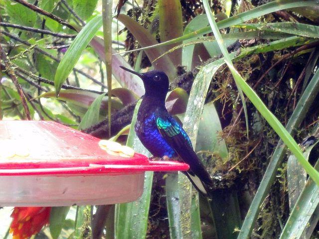 Ride, Hike & eXplore - horseXperiences™ GO EQUESTRIAN