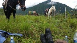 Ride, Hike & eXplore - horseXperiences™ GO EQUESTRIAN