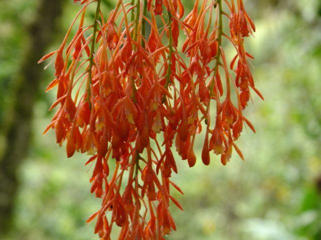 Ride, Hike & eXplore - horseXperiences™ GO EQUESTRIAN