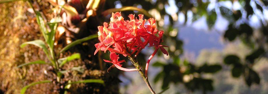 Ride, Hike & eXplore - horseXperiences™ GO EQUESTRIAN