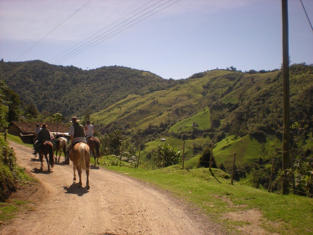 Ride, Hike & eXplore - horseXperiences™ GO EQUESTRIAN