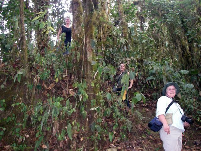 Ride, Hike & eXplore - horseXperiences™ GO EQUESTRIAN