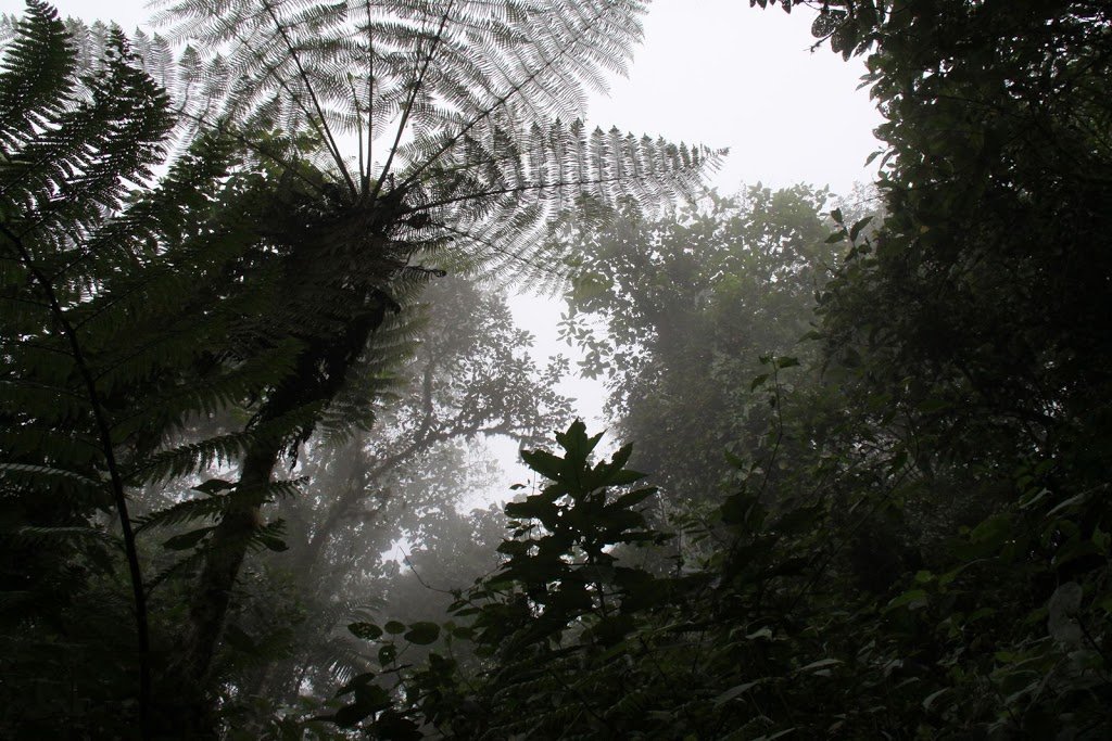 Ride, Hike & eXplore - horseXperiences™ GO EQUESTRIAN