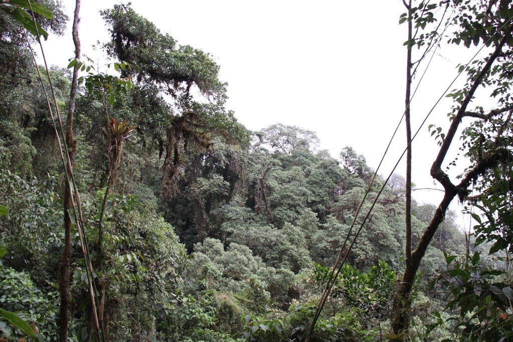 Ride, Hike & eXplore - horseXperiences™ GO EQUESTRIAN