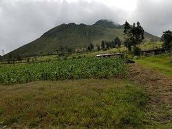 Ride, Hike & eXplore - horseXperiences™ GO EQUESTRIAN