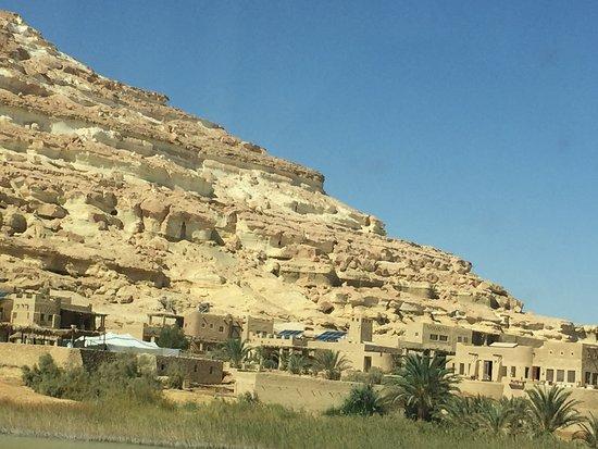 Egyptian Luxury - horseXperiences™ GO EQUESTRIAN