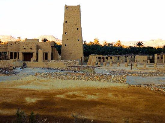 Egyptian Luxury - horseXperiences™ GO EQUESTRIAN