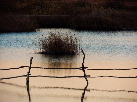 Egyptian Luxury - horseXperiences™ GO EQUESTRIAN