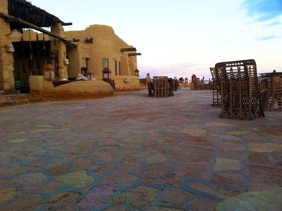 Egyptian Luxury - horseXperiences™ GO EQUESTRIAN