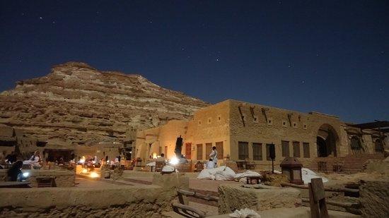 Egyptian Luxury - horseXperiences™ GO EQUESTRIAN