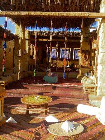 Egyptian Luxury - horseXperiences™ GO EQUESTRIAN