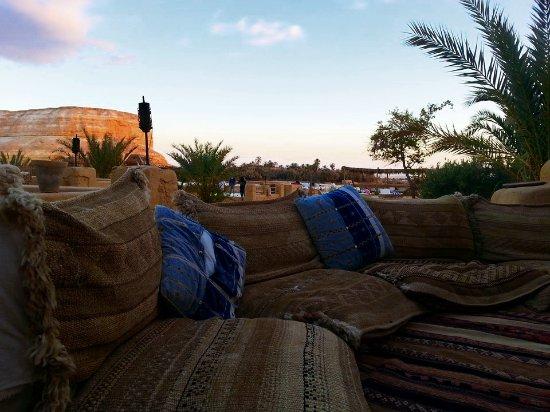 Egyptian Luxury - horseXperiences™ GO EQUESTRIAN