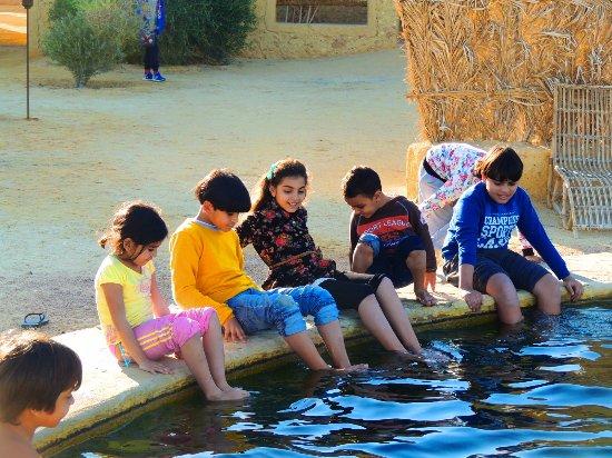 Egyptian Luxury - horseXperiences™ GO EQUESTRIAN