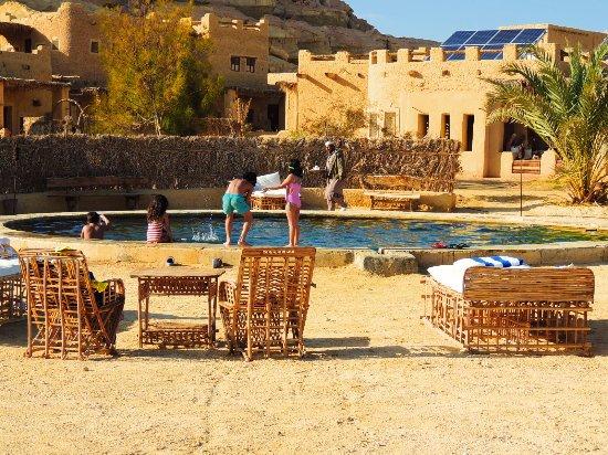 Egyptian Luxury - horseXperiences™ GO EQUESTRIAN