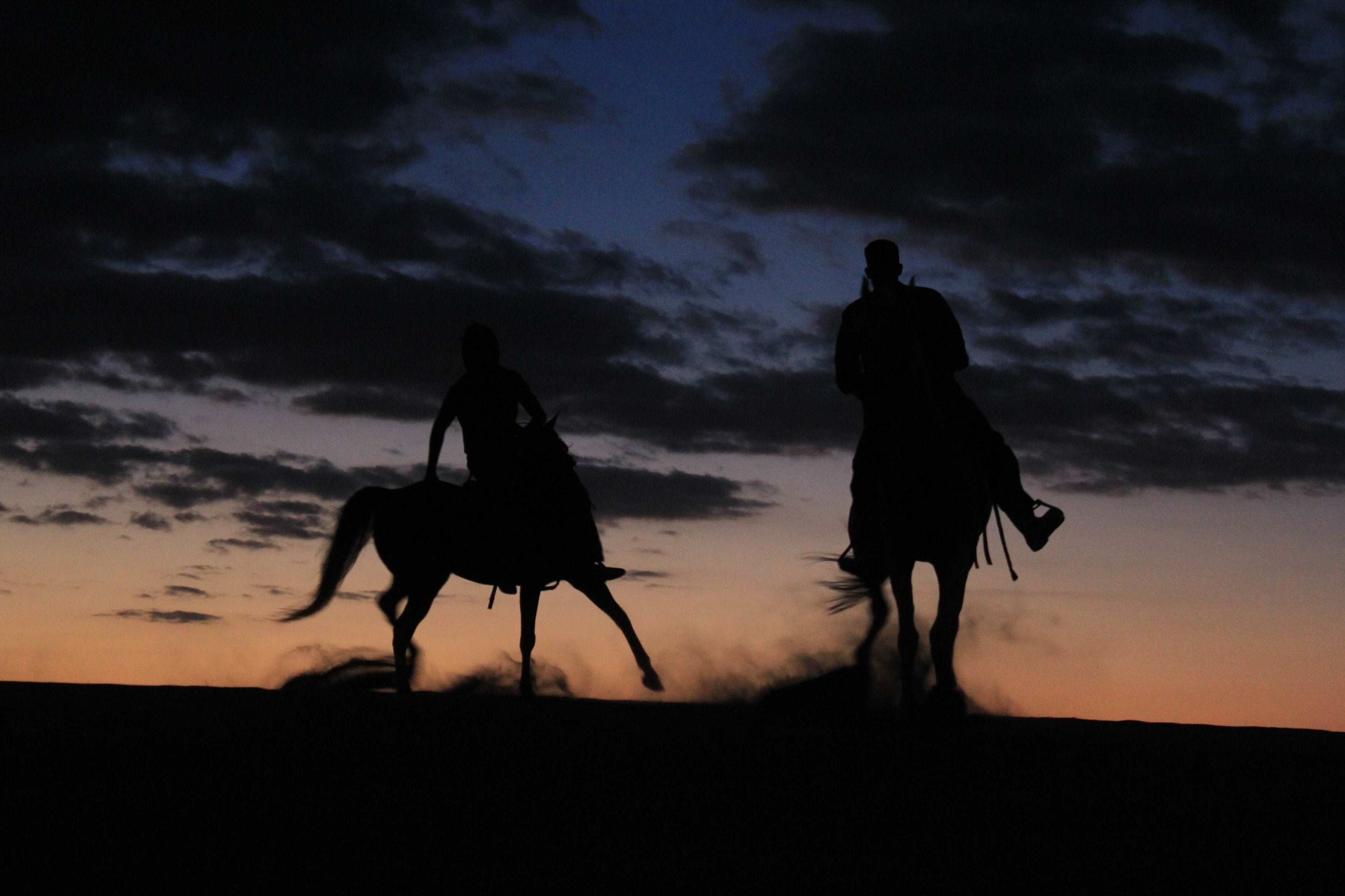 Egyptian Luxury - horseXperiences™ GO EQUESTRIAN