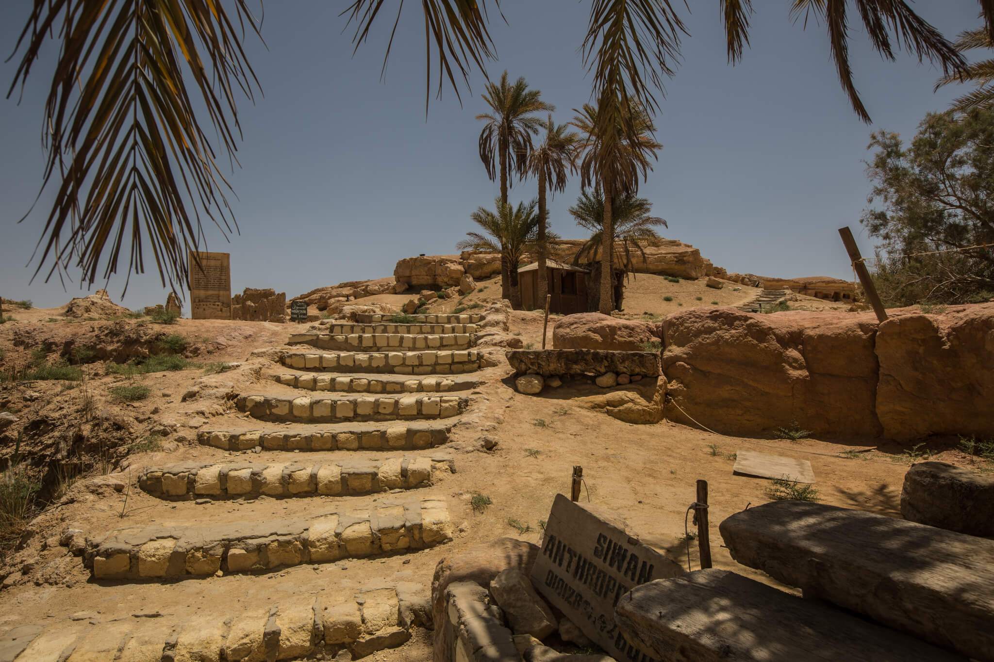 Egyptian Luxury - horseXperiences™ GO EQUESTRIAN