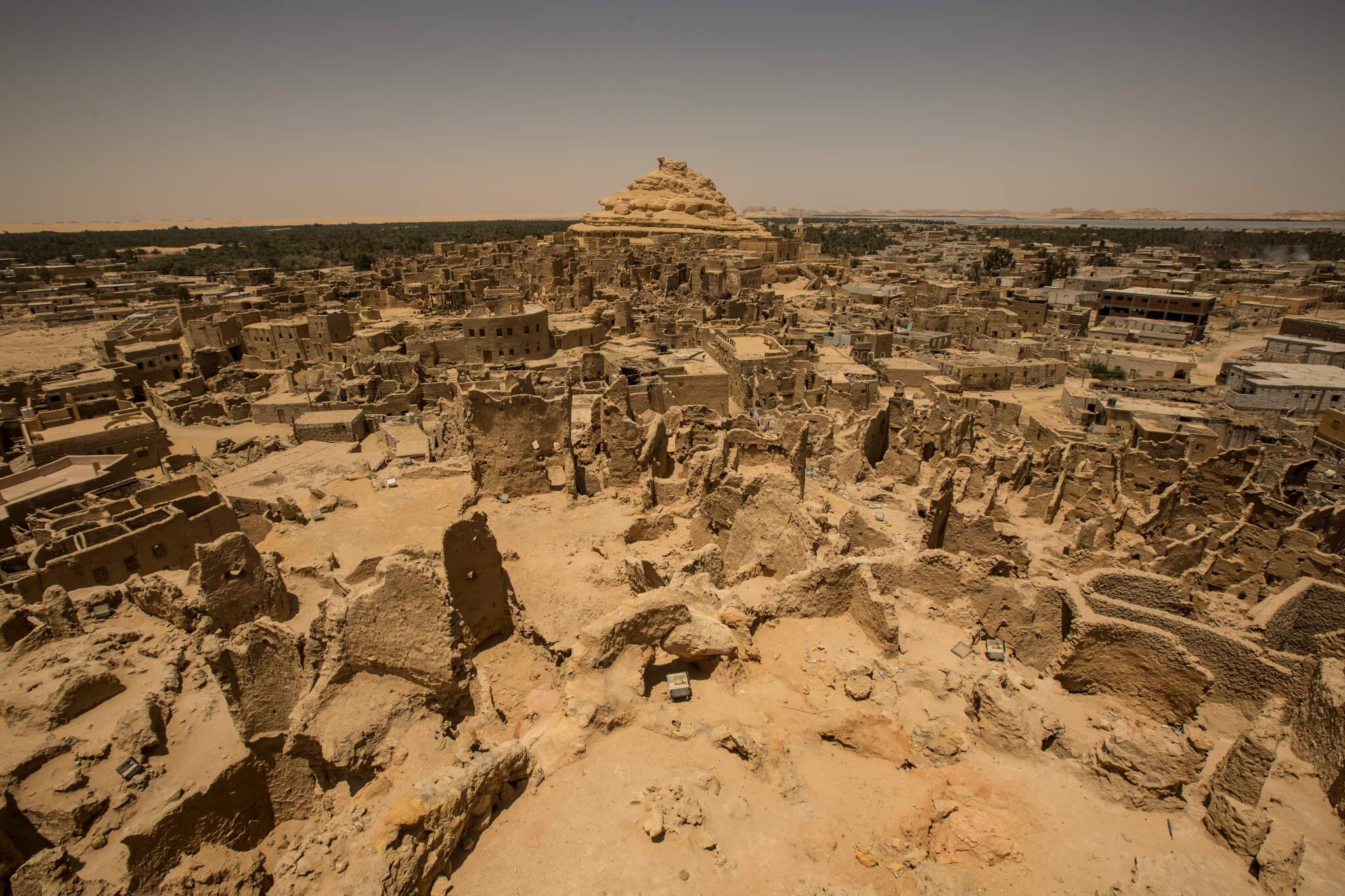 Egyptian Luxury - horseXperiences™ GO EQUESTRIAN