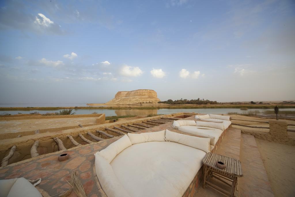 Egyptian Luxury - horseXperiences™ GO EQUESTRIAN