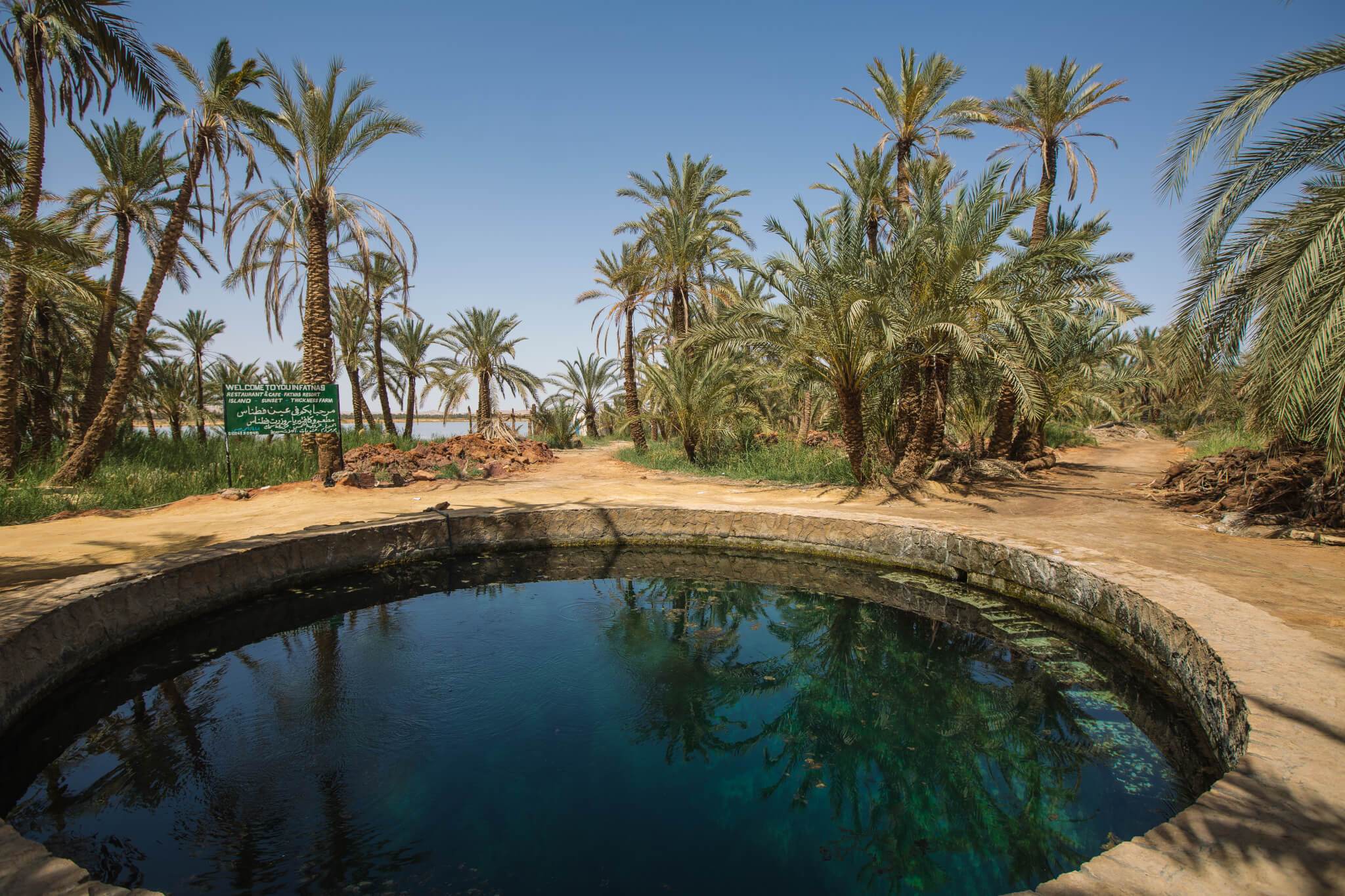 Egyptian Luxury - horseXperiences™ GO EQUESTRIAN