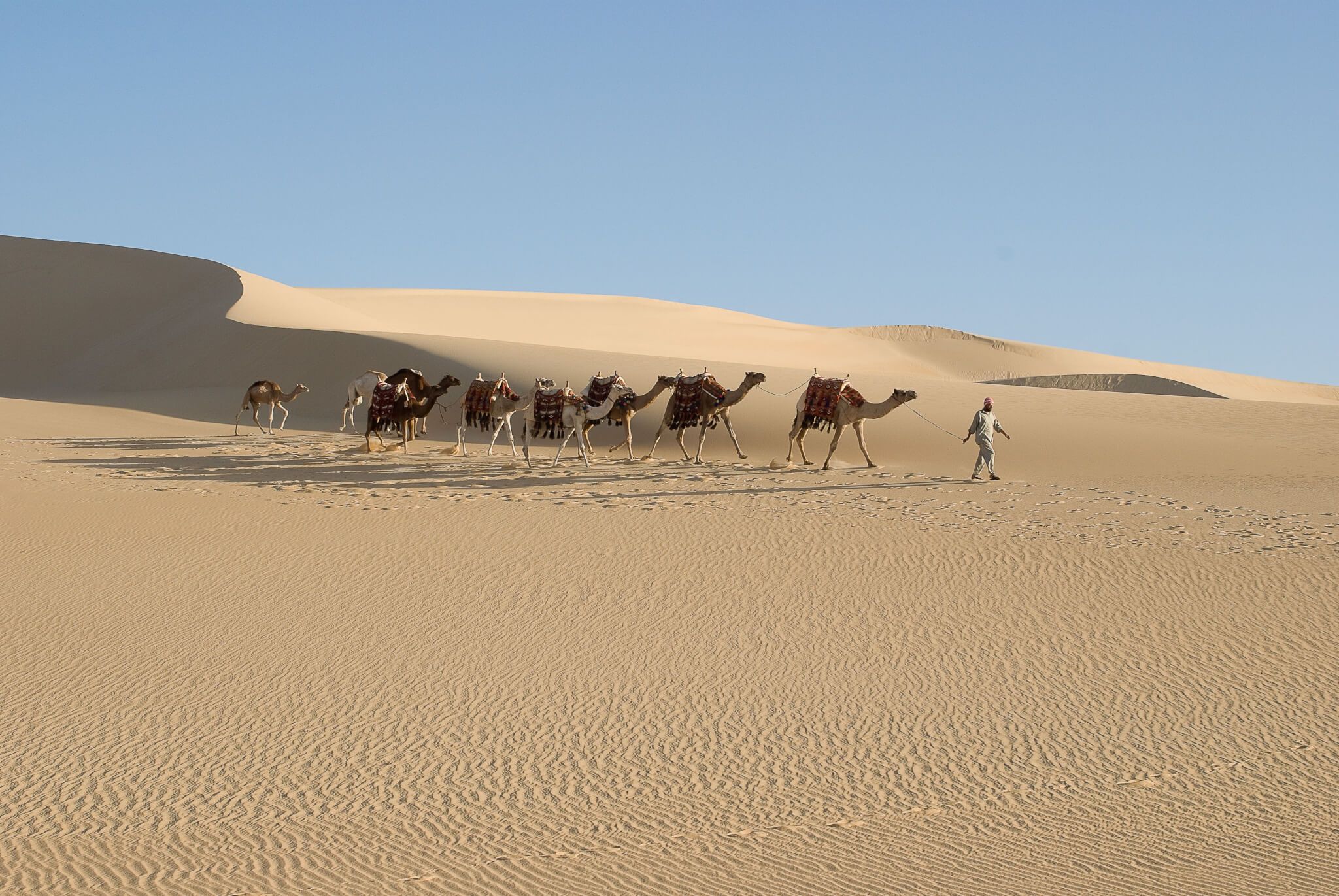 Egyptian Luxury - horseXperiences™ GO EQUESTRIAN